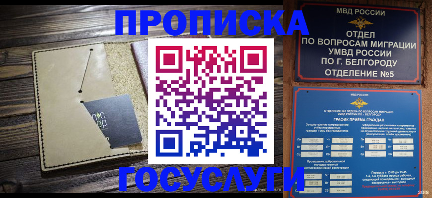 прописка 2025 в Удомле